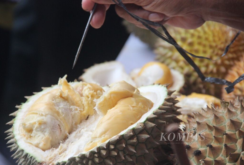 Festival Durian Bumi Khatulistiwa yang dilaksanakan di Pontianak, Kalimantan Barat, dari Sabtu (24/8/2019) hingga Minggu (1/9/2019).