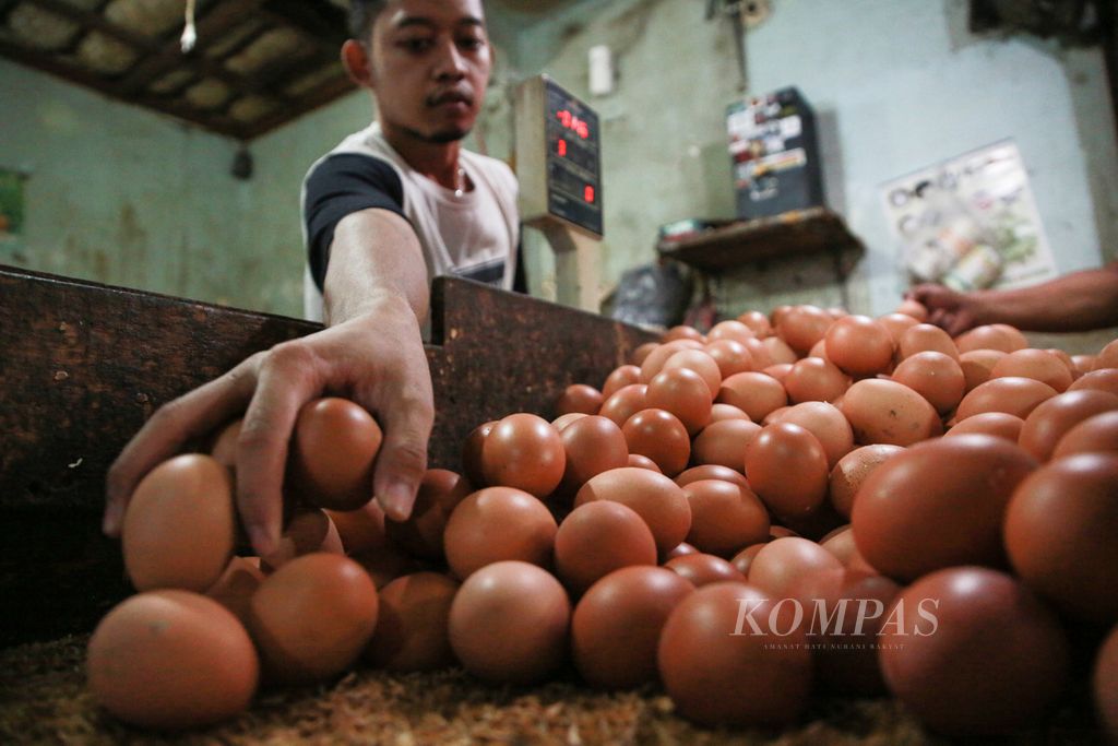 Pedagang menambah stok telur ayam Ras di kiosnya di pasar Kebayoran Lama, Jakarta Selatan, Senin (2/1/2023). Harga telur ayam Ras yang sempat naik menyumbang inflasi pada akhir tahun 2022.