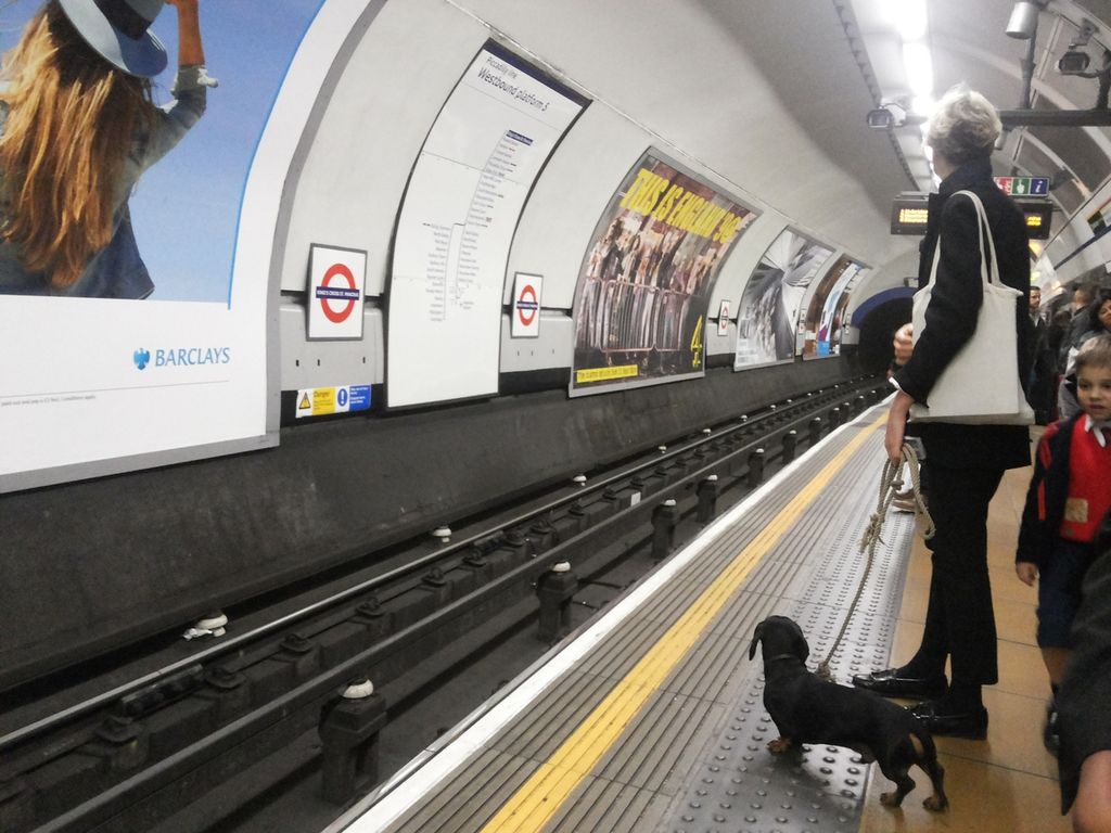 Menunggu kedatangan <i>tube</i> di peron salah satu stasiun di London, Inggris, September 2015.