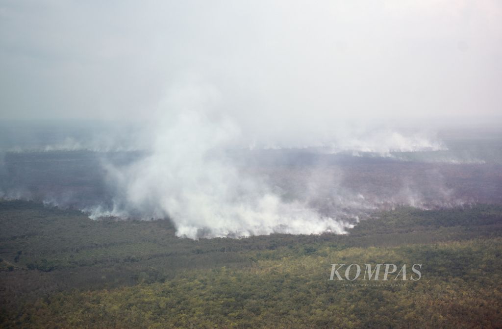 Kebakaran lahan di kawasan Cinta Jaya, Kecamatan Pedamaran, Kabupaten Ogan Komering Ilir, Sumatera Selatan, Kamis (2/11/2023). 