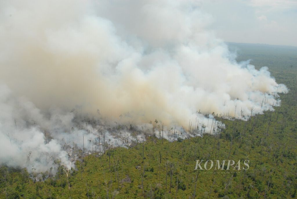 Kebakaran di wilayah Kumpeh, Kabupaten Muaro Jambi, Jambi, dalam patroli udara Tim Satuan Tugas Karhutla Jambi dan Badan Nasional Penanggulangan Bencana, Selasa (8/10/2019). 