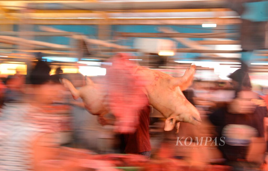 Warga mengusung seekor babi yang akan dijual di Pasar Beriman, Kota Tomohon, Sulawesi Utara, Sabtu (10/8/2019). Pasar tersebut dikenal dengan sebutan pasar ekstrem yang menjual daging babi, kelelawar, tikus pohon, sampai anjing. 