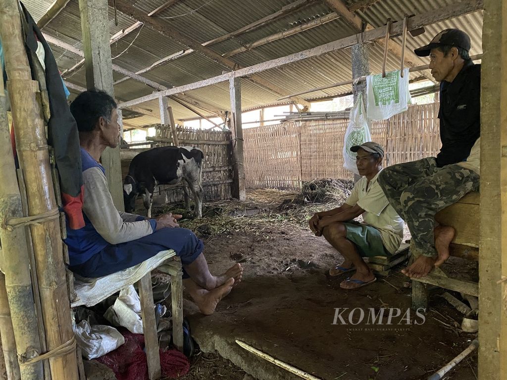 Para peternak berbincang tentang sapi-sapinya yang terpapar PMK di kandang komunal di Desa Kalisidi, Kecamatan Ungaran Barat, Kabupaten Semarang, Jawa Tengah, Kamis (2/6/2022). 