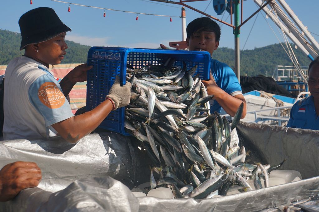 Awak Kapal Motor Bintang Terang memuat ikan hasil tangkapan ke bak mobil pikap di Pelabuhan Perikanan Samudera, Bitung, Sulawesi Utara, sebelum dibawa ke pabrik pengolahan ikan, Jumat (17/7/2020). 