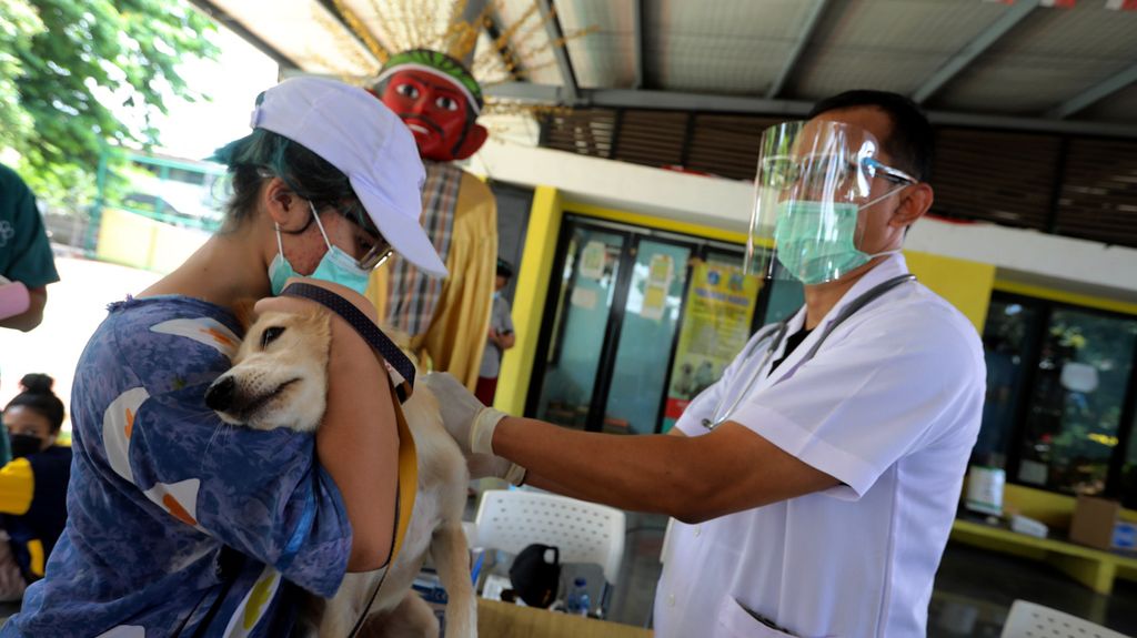 Petugas medis dari Pusat Kesehatan Hewan (Puskeswan) Dinas Ketahanan, Pertanian, dan Perikanan Kota Administrasi Jakarta Selatan menyuntikkan vaksin antirabies ke seekor anjing, Sabtu (31/10/2020), di RPTRA Taman Mandala, Tebet, Jakarta Selatan. 