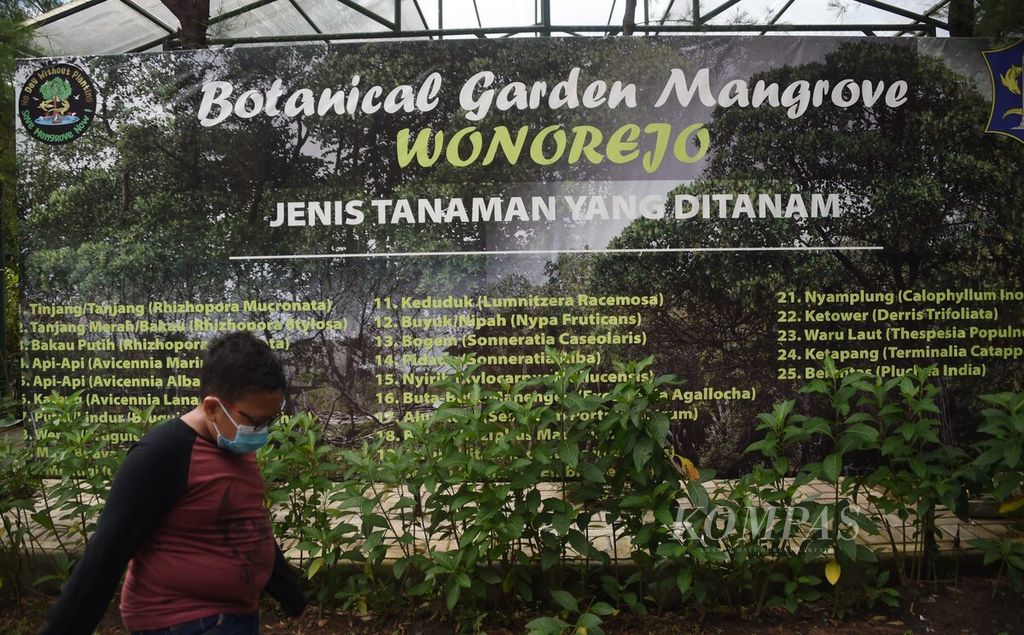 Pangeran dan Putri Lingkungan SDN Kaliasin 1 saat berkunjung ke Wanawisata Manggrove Wonorejo dalam rangka memperingati Hari Keanekaragaman Hayati 2021, Surabaya, Jawa Timur, Jumat (28/5/2021). Kegiatan diisi dengan menanam bibit pohon dan menebar benih lele. 