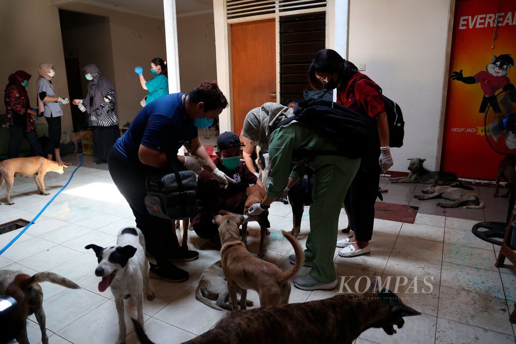 Dokter dan sukarelawan merawat ratusan anjing yang berhasil diselamatkan polisi dan aktivis Animal Hope Shelter Indonesia, Selasa (9/1/2024), di sebuah tempat di Kota Semarang, Jawa Tengah.