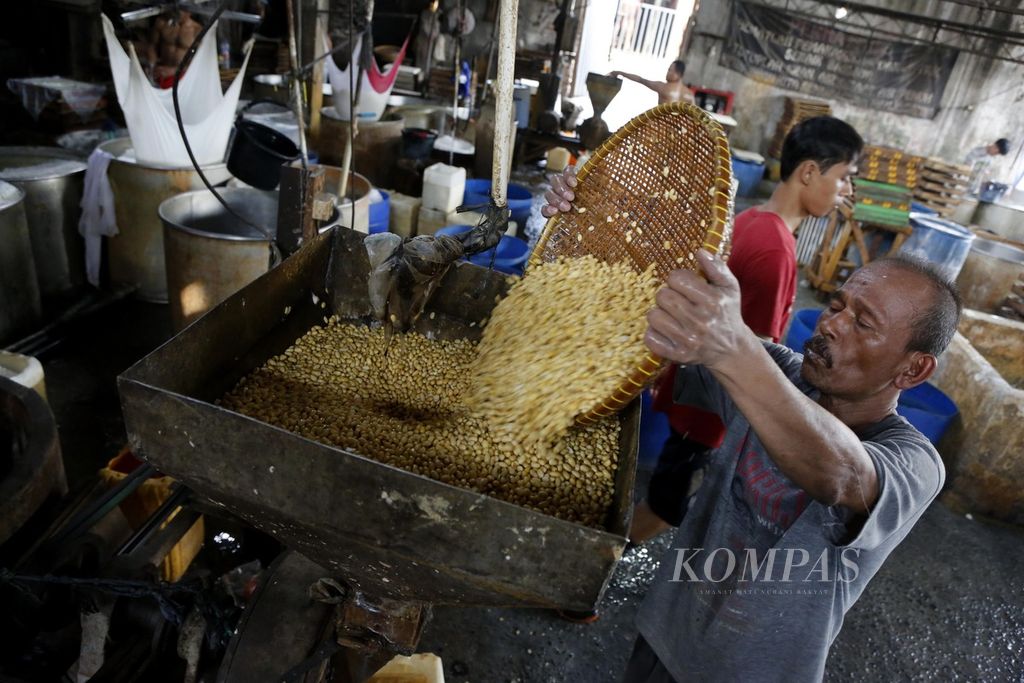 Perajin sedang mengolah kedelai impor untuk dijadikan tahu di kawasan Pancoran, Jakarta, Selasa (7/11/2023). Mayoritas kedelai impor dihasilkan dari kedelai produk rekayasa genetika (PRG).