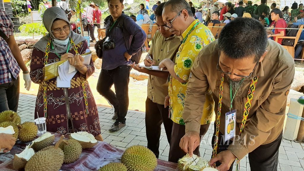 Tim juri kontes durian di Kecamatan Singkawang Timur, Kota Singkawang, Kalimantan Barat, sedang menilai durian yang mengikuti kontes untuk menjaring durian unggul, Sabtu (24/9/2022). Para juri merupakan tim ekspedisi dan eksplorasi durian unggul Kalbar.