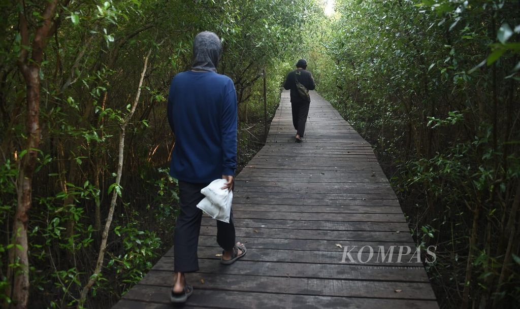 Peneliti burung dari Yayasan Ekologi Satwa Alam Liar Indonesia menuju jaring yang dipasang untuk menangkap burung di kawasan hutan mangrove Gunung Anyar, Kota Surabaya, Jawa Timur, Kamis (2/9/2021). 