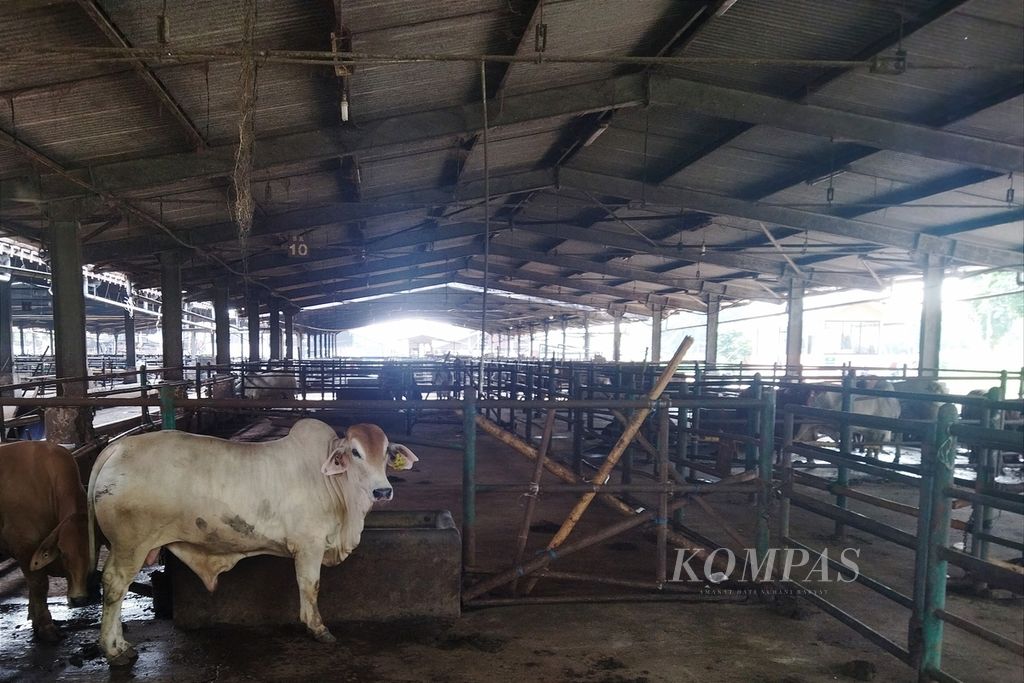 Sebagian besar blok kandang sapi di Perumda Dharma Jaya, Jakarta Timur, banyak yang kosong, Senin (13/6/2022).