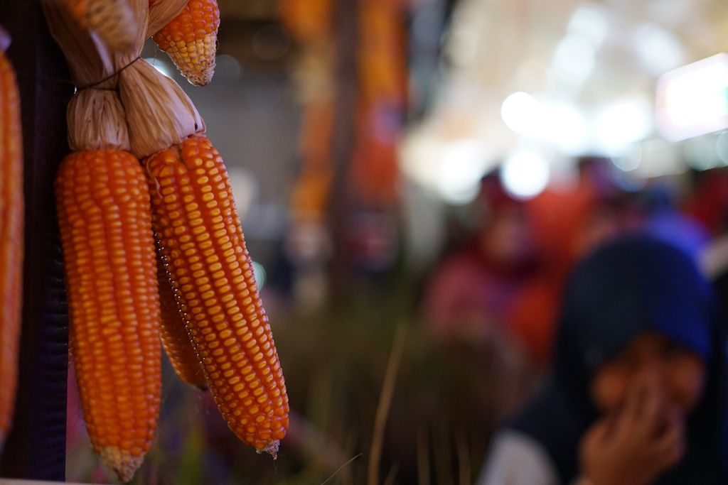 Jagung yang pernah menjadi pangan utama masyarakat di sebagian wilayah di Sulawesi Tenggara ditampilkan dalam pameran Hari Pangan Sedunia ke-39, di Kendari, Sulawesi Tenggara, Minggu (3/11/2019).