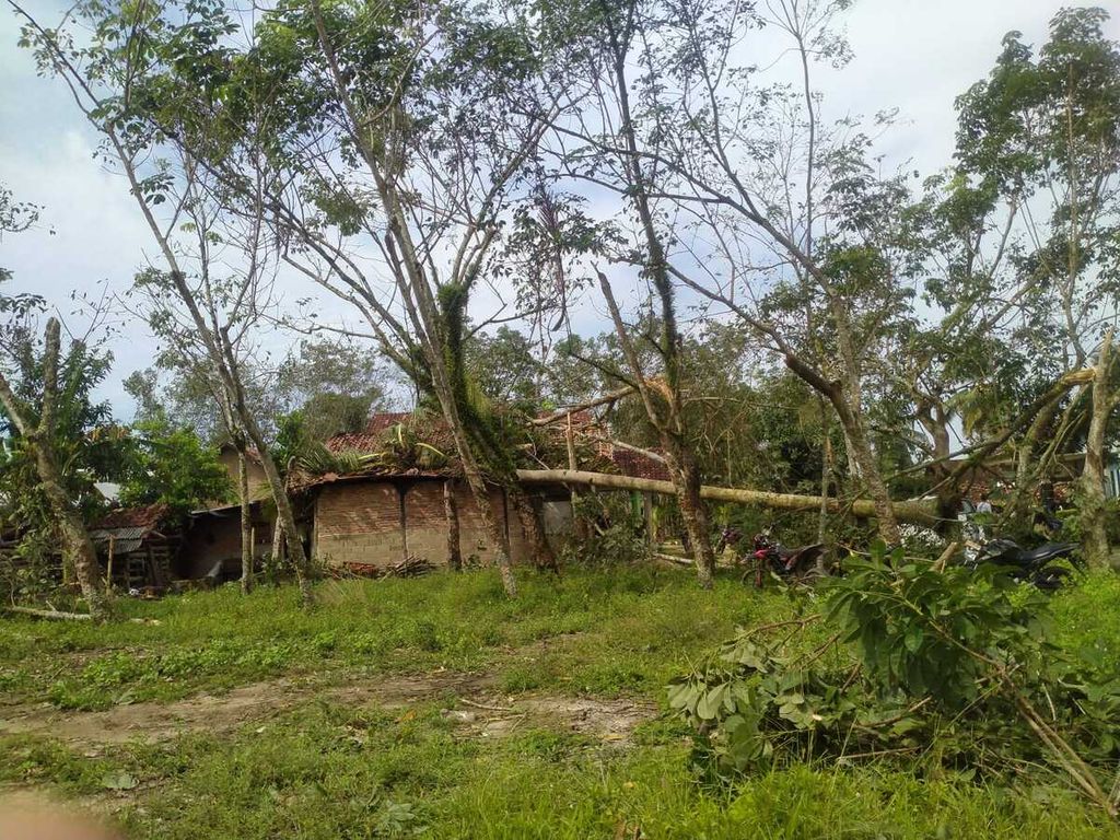 Angin puting beliung melanda Desa Panaragan Jaya Utama, Kecamatan Tulang Bawang Tengah, Kabupaten Tulang Bawang Barat, Lampung, pada Sabtu (2/4/2022) petang. Ratusan rumah rusak dan tujuh warga terluka. 