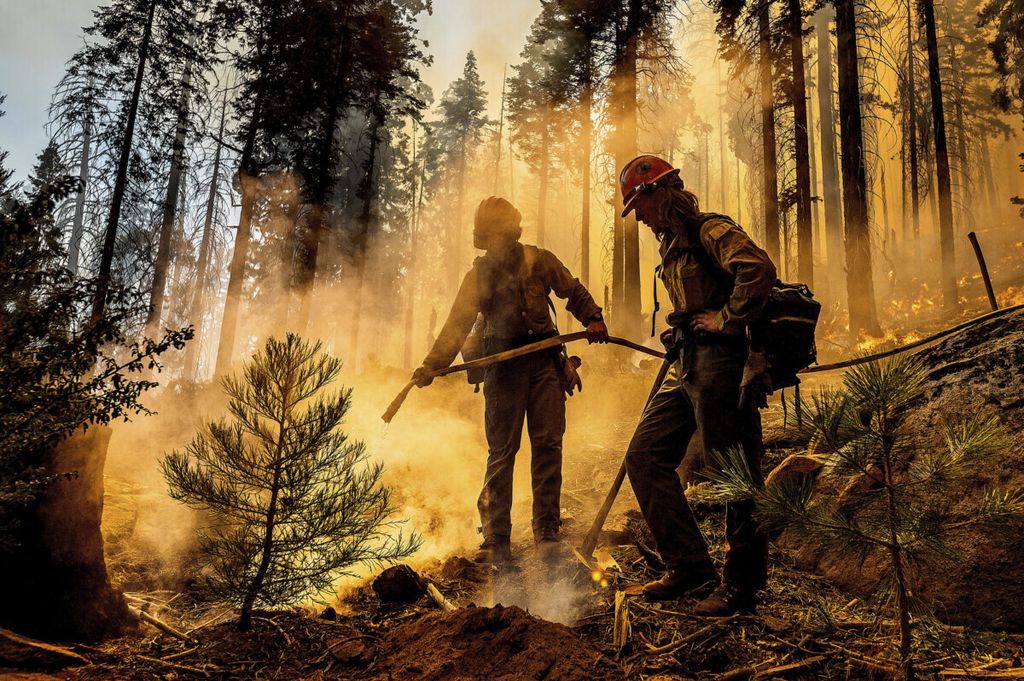 Foto yang diambil pada 19 September 2021 ini memperlihatkan saat petugas pemadam dari Austin, California tengah memadamkan api yang membakar sebagian lahan di Sequoia National Forest, 
