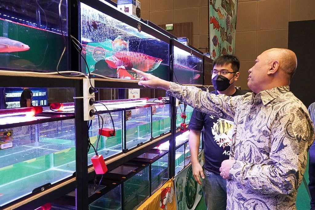Menteri Koperasi dan UKM Teten Masduki menunjuk salah satu ikan yang dipamerkan dalam Kalikan Expo 2022, pameran ikan hias air tawar terbesar di Indonesia, yang berlangsung pada 14-16 Oktober 2022 di Jakarta International Expo Kemayoran, Jakarta, Jumat (14/10/2022). Ekspor ikan hias Indonesia mendorong perekonomian nasional.