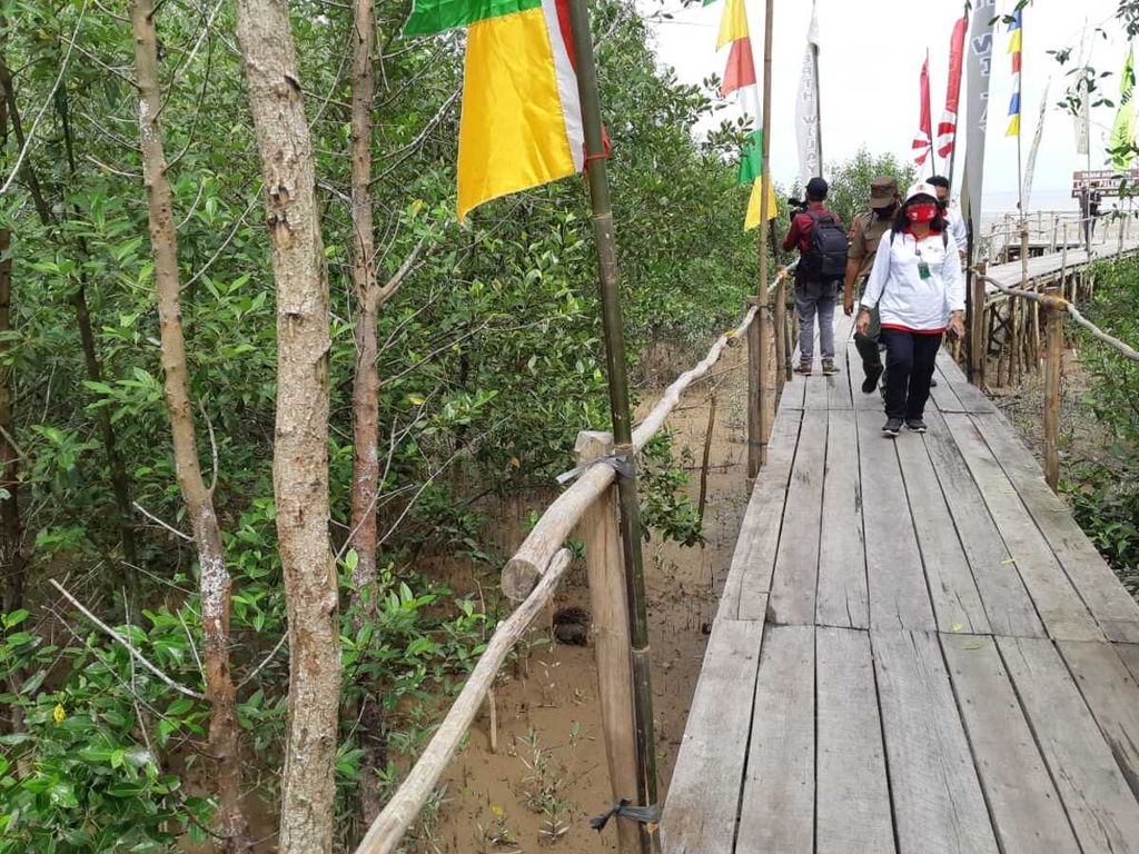 Sejumlah pengunjung melintasi kawasan hutan bakau (mangrove) di kawasan Pelabuhan Tanjung Api-api, Kabupaten Banyuasin, Sumatera Selatan, Senin (3/8/2020). Sekitar 20 persen dari 158.000 hektar lahan mangrove di Sumsel dalam keadaan kritis.