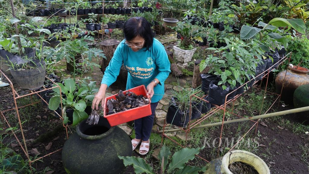 Edellweis Garbage Bank activist process waste from bananas to make compost at the Edellweis organic village garden in South Rejowinangun Village, Magelang City, Central Java, on Wednesday (12/10/2022). 