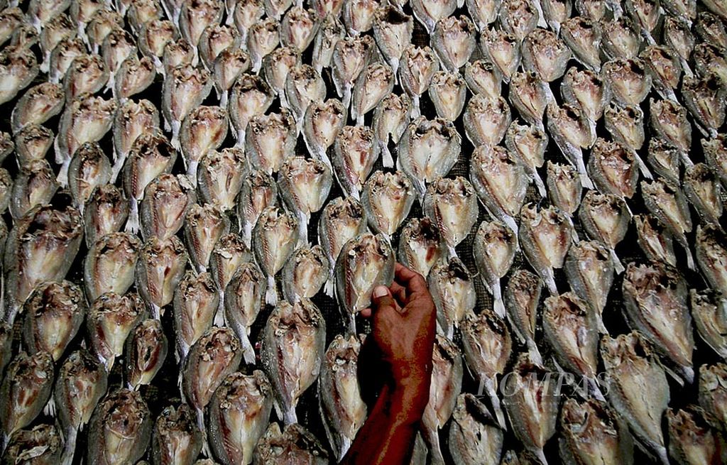 Muhammad Joni (35) memeriksa ikan asinnya yang dikeringkan di kawasan Jalan KH Azhari, Kelurahan 5 Ulu, Kecamatan Seberang Ulu 1, Palembang, Sumatera Selatan, Sabtu (29/7).  Kenaikan harga garam membuat keuntungan pengusaha ikan asin turun dari normalnya sekitar Rp 600.000 menjadi Rp 250.000 per tiga hari.