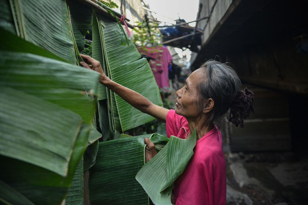 Seorang warga menjemur daun pisang yang akan ia gunakan sebagai bungkus lontong di permukiman di bawah Jalan Tol Dalam Kota Cawang-Tomang-Pluit, Jelambar Baru, Jakarta Barat, Senin (19/6/2023).