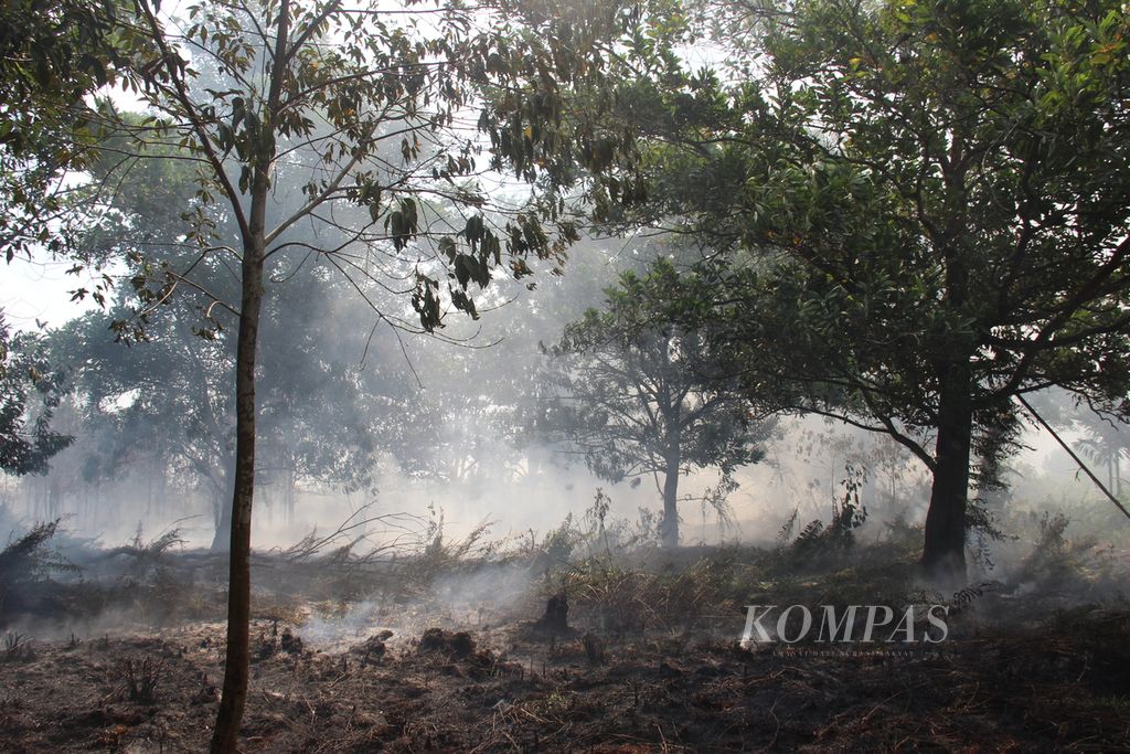 Salah satu lokasi kebakaran lahan gambut di Kabupaten Kubu Raya, Kalimantan Barat, Selasa (15/8/2023).