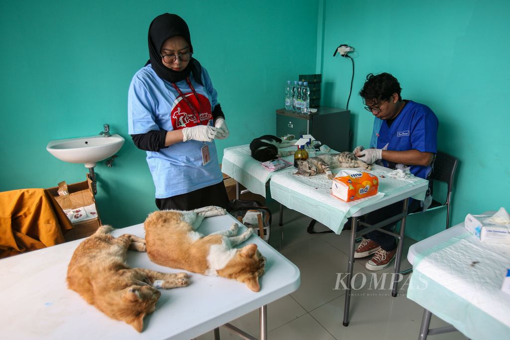 Aktivitas petugas saat melakukan sterilisasi di kawasan Jagakarsa, Jakarta, Jumat (12/7/2024). 