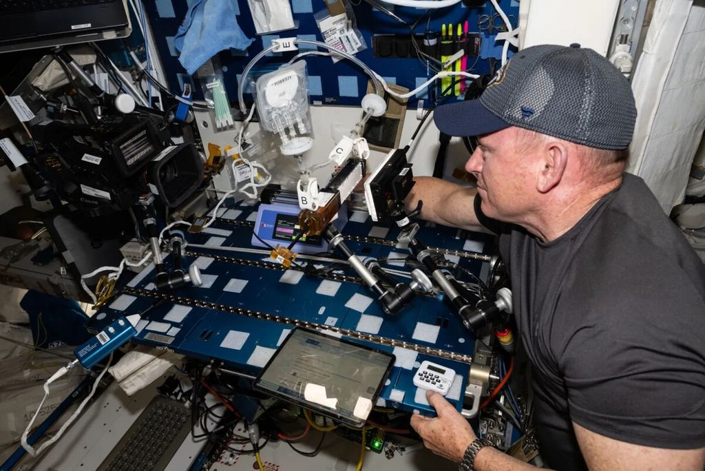 Meski ”terdampar” di Stasiun Luar Angkasa Internasional, antariksawan NASA yang juga pilot uji terbang berawak perdana wahana Starliner buatan Boeing, yakni Butch Wilmore, tetap melakukan sejumlah aktivitas riset. Pada gambar beberapa waktu lalu, Butch sedang melakukan eksperimen terhadap sampel yang dikirim Gaucho Lung untuk mempelajari pengaruh lapisan lendir di saluran pernapasan manusia memengaruhi pengiriman obat ke paru-paru.