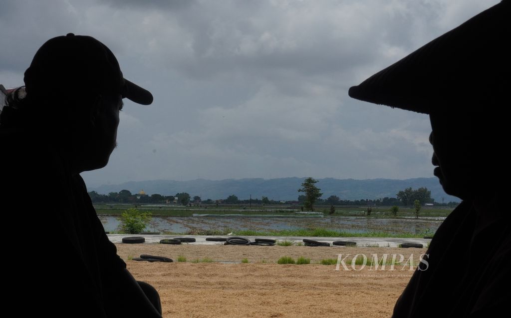 Pekerja menunggui gabah-gabah yang dijemur di halaman tempat penggilingan padi di Desa Medini, Kecamatan Undaan, Kabupaten Kudus, Jawa Tengah, Minggu (25/2/2024). 