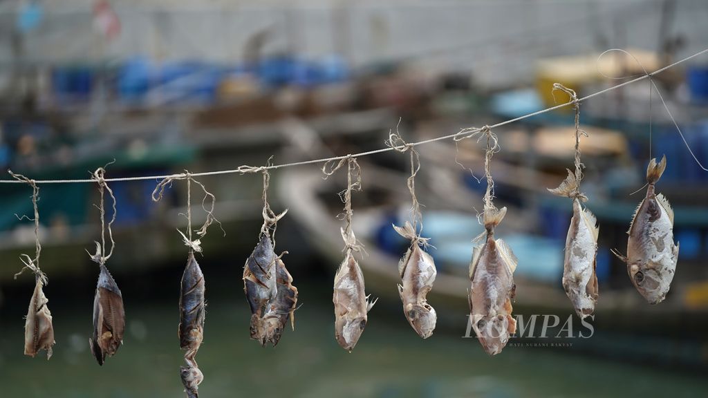 Ikan diikat dan dijemur di kapal motor nelayan yang bersandar di tanggul pengaman pantai Kalibaru di Kecamatan Cilincing, Jakarta Utara, Selasa (3/1/2023). 