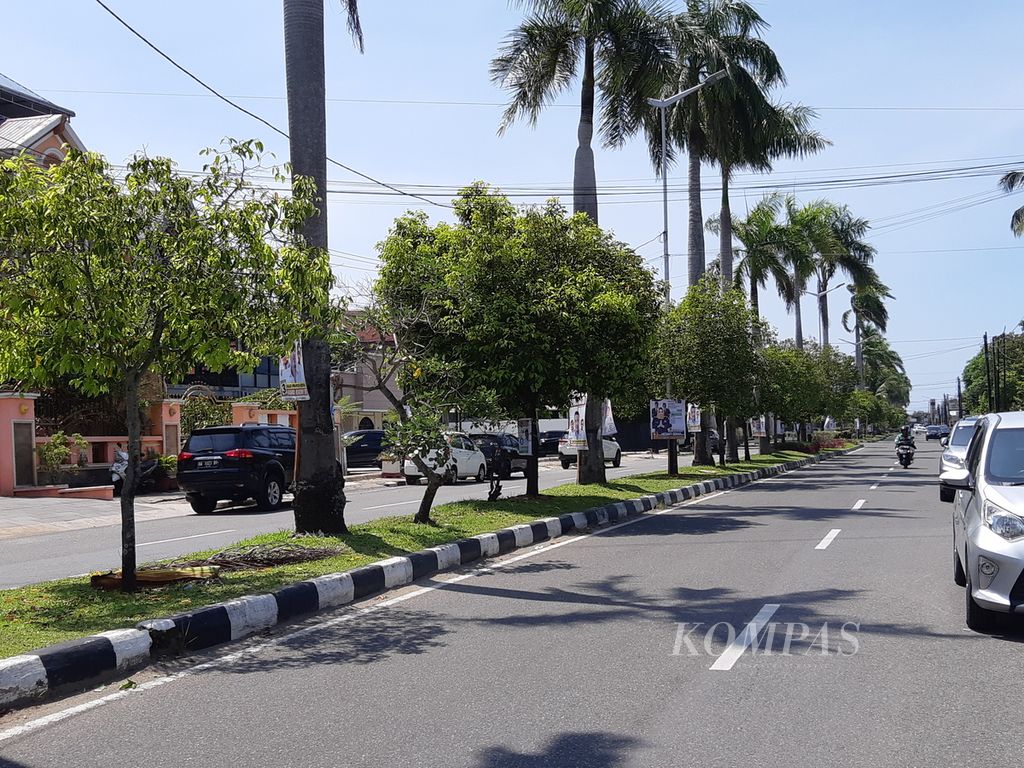 Tampak pepohonan di Jalan Flamboyan Baru, Kecamatan Padang Barat, Kota Padang, Sumatera Barat, Jumat (22/12/2023) siang.