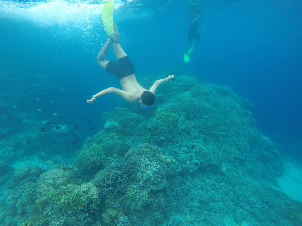 Seorang wisatawan menyelam di perairan dangkal Bunaken, Manado, Sulawesi Utara, Senin (14/2/2022).
