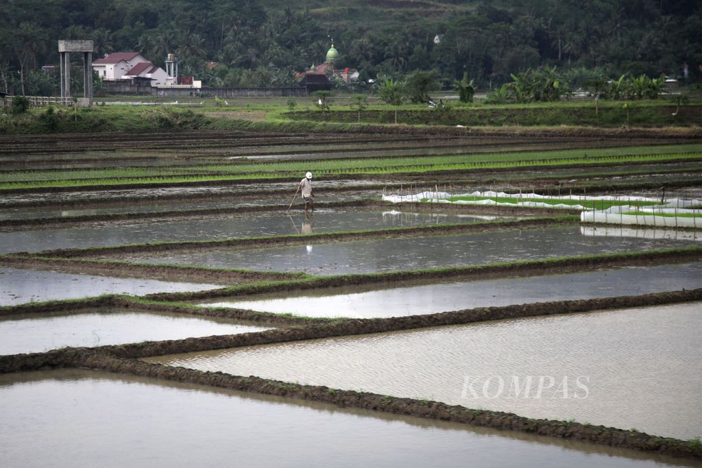 Petani mengolah sawahnya sebelum ditanami padi di Karanglewas, Banyumas, Jawa Tengah, Kamis (17/11/2022). 