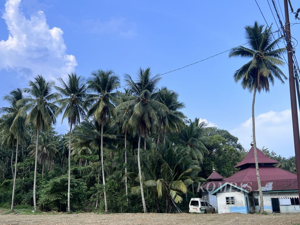 Kelapa dalam dan kopra menjadi salah satu komoditas utama di Kecamatan Bungku Pesisir, Morowali, Sulawesi Tengah. Namun, kini komoditas ini tersisih oleh keberadaan tambang seperti tampak pada Kamis (28/12/2023).