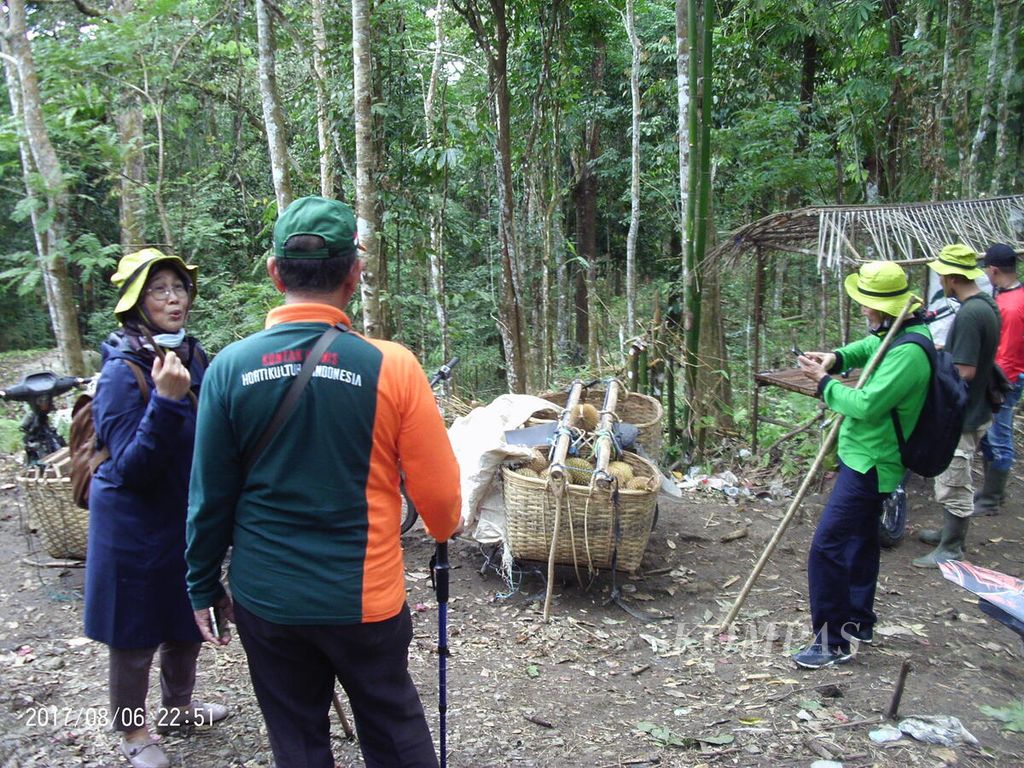 Tim Ekspedisi dan Eksplorasi Durian Unggul Kalimantan Barat saat menyusuri pohon induk tunggal di hutan daerah Kecamatan Singkawang Timur, Kota Singkawang, Kalimantan Barat, Minggu (26/9/2022).