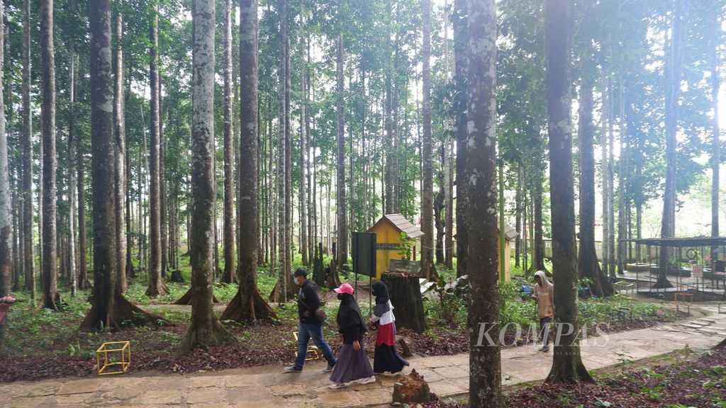 Pengunjung berjalan di dalam kawasan Ekowisata Hutan Meranti, Kabupaten Kotabaru, Kalimantan Selatan, Kamis (7/7/2022).