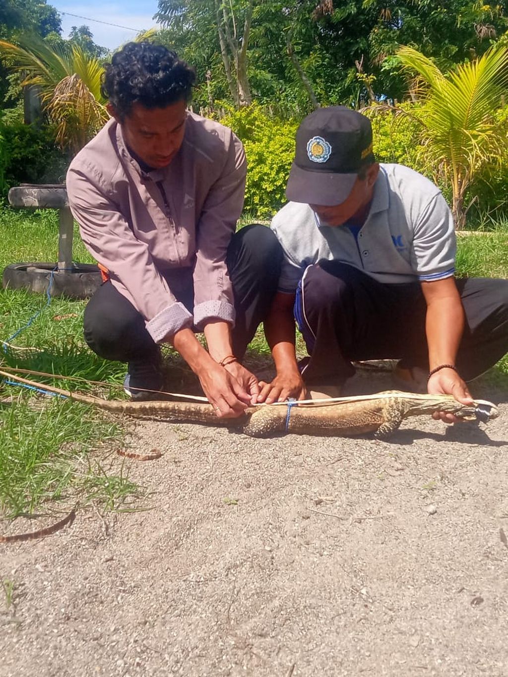 Arsyad (right) is measuring the length of a rugu or dragon.