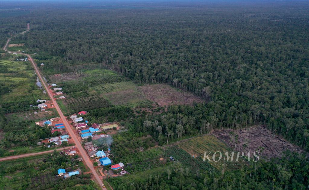Penebangan hutan di Distrik Eligobel, Kabupaten Merauke, Papua.