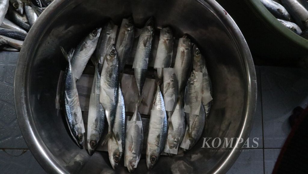 Potret ikan yang diolah menjadi pindang di Koperasi Randegan Ikan Sejahtera, Desa Randegan Kulon, Kecamatan Jatitujuh, Majalengka, Kamis (22/9/2022). Ikan pindang menjadi salah satu mata pencarian warga. Setiap hari, 6-7 ton ikan diolah menjadi pindang.