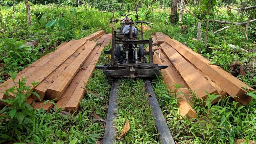 Warga menemukan ratusan balok kayu saat melaksanakan patroli di lokasi pembalakan hutan secara ilegal di Distrik Nimbokrang, Kabupaten Jayapura, Papua pada 2 Mei 2022.