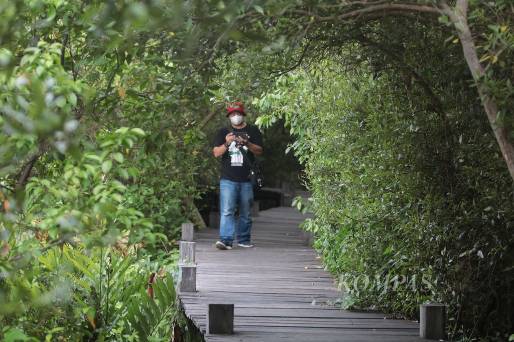 Pemandangan kawasan mangrove di Kampung Blekok, Desa Klatakan, Kabupaten Situbondo, Jawa Timur, Senin (28/3/2022). 