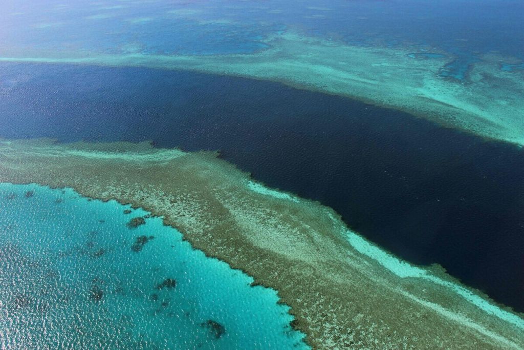 Foto pada 20 November 2014 ini menunjukkan Karang Penghalang Besar (Great Barrier Reef) di Kepulauan Whitsundays, Queensland, Australia. Kenaikan suhu air laut akibat pemanasan global membuat 98 persen terumbu karang memutih.