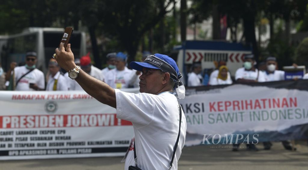 Salah seorang peserta aksi melakukan panggilan video saat berlangsung aksi protes para petani kelapa sawit yang tergabung dalam Asosiasi Petani Kelapa Sawit Indonesia (Apkasindo) di depan Kantor Kementerian Koordinator Bidang Perekonomian, Jakarta, Selasa (17/5/2022). 