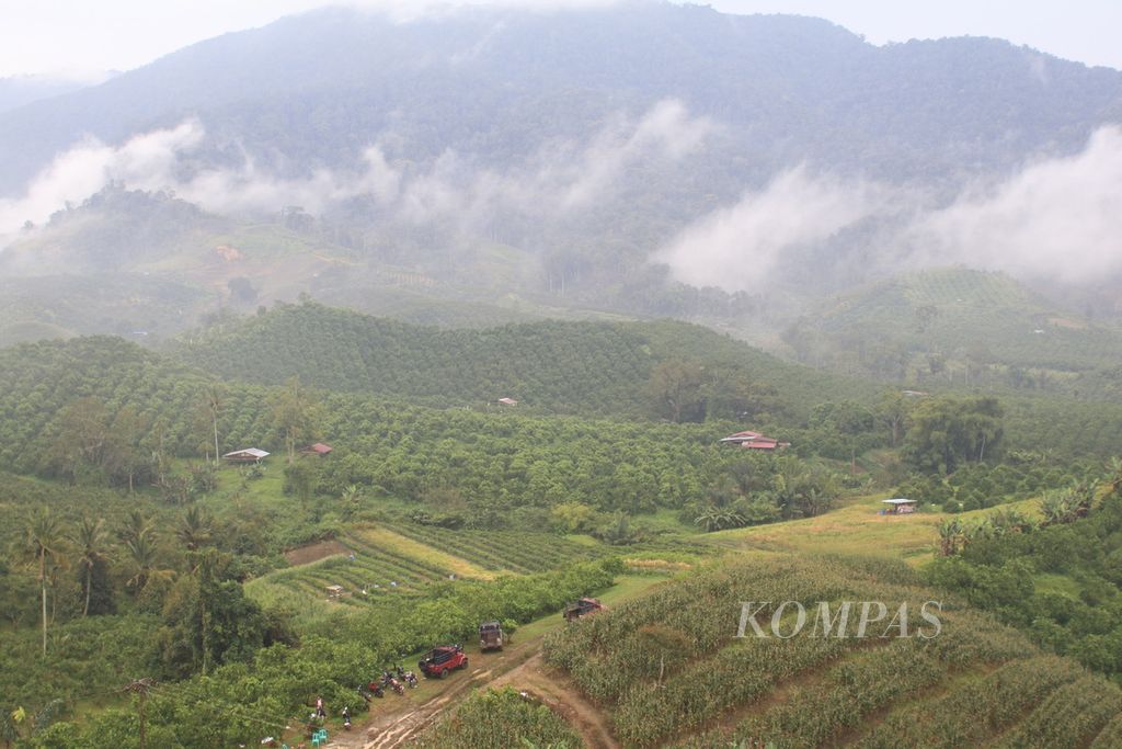 Pemandangan pertanian jeruk dari atas bukit tempat dibangunnya Monumen Juma Jokowi di kawasan Liang Melas Datas, Kabupaten Karo, Sumatera Utara, Sabtu (4/11/2023).
