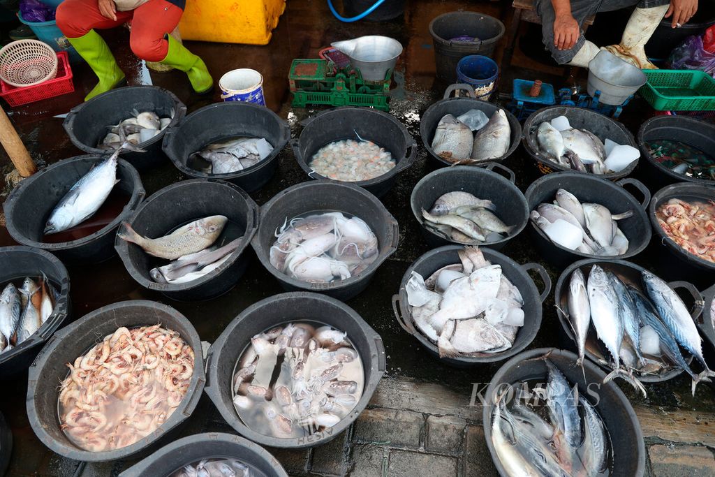 Pedagang ikan yang menjual berbagai jenis ikan tangkapan nelayan di Pelabuhan Batang, Kabupaten Batang, Jawa Tengah, Kamis (15/6/2023). Batang menjadi salah satu pemasok komoditas ikan tangkapan laut berkapasitas besar selain Tegal, Pekalongan, dan Juwana Pati. 