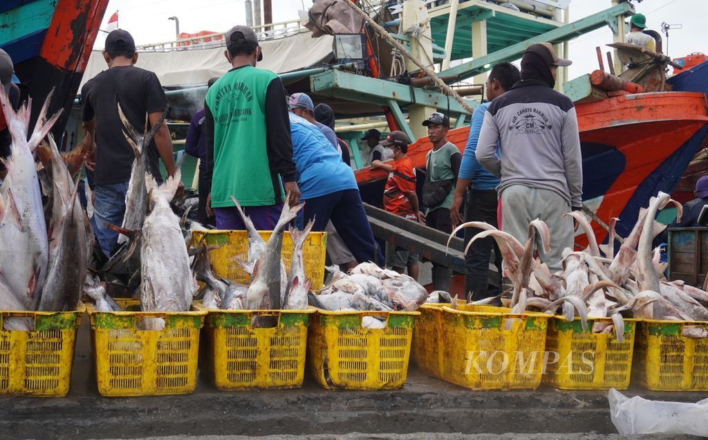 Buruh menata ikan yang diturunkan dari kapal di Pelabuhan Perikanan Pantai Tegalsari, Kota Tegal, Jawa Tengah, Sabtu (14/8/2021).