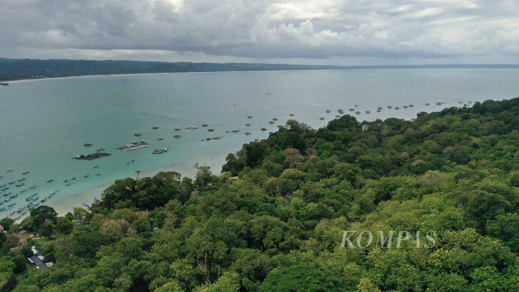 Kawasan hutan di cagar alam Pananjung Pangandaran, Jawa Barat, Selasa (9/8/2022). Kawasan hutan cagar alam Pananjung Pangandaran memiliki luas 454,615 hektar dan Taman Wisata Alam Pananjung Pangandaran seluas 34,321 hektar.