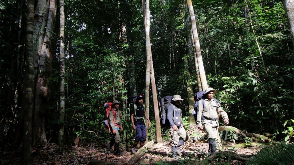 Ilustrasi-Anggota Ranger Forum Konservasi Leuser saat berada di dalam hutan Leuser, Subulussalam, Aceh, Selasa (9/5/2017). Setiap bulan selama 15 hari ranger melakukan patroli di dalam kawasan Leuser untuk mencegah perburuan satwa dan perambahan hutan.