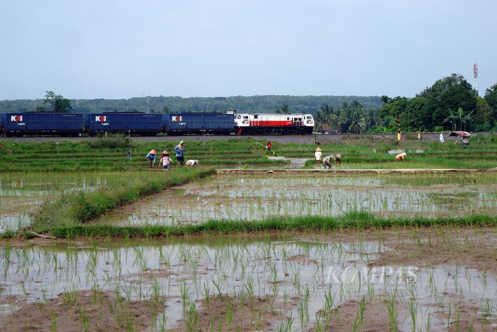Sejumlah perempuan petani menanam padi di Desa Karang Raja, Kecamatan Muara Enim, Kabupaten Muara Enim, Sumatera Selatan, Jumat (1/3/2024). Sawah tersebut memanfaatkan pembangkit listrik tenaga surya yang menghasilkan listrik untuk menggerakkan pompa air untuk keperluan irigasi.