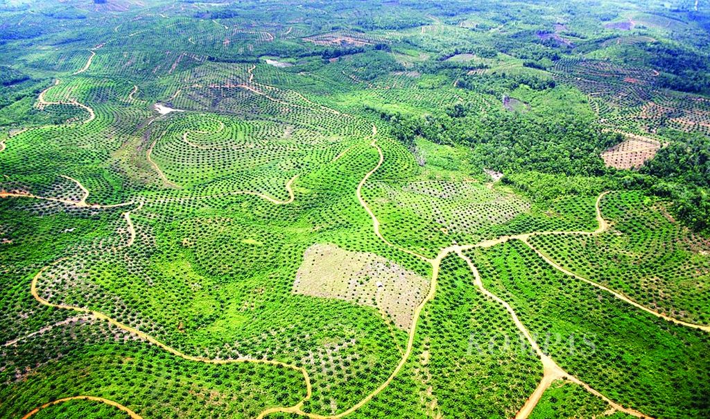 Pembukaan lahan untuk perkebunan kelapa sawit di Kabupaten Bengkayang, Kalimantan Barat, Kamis (20/10).