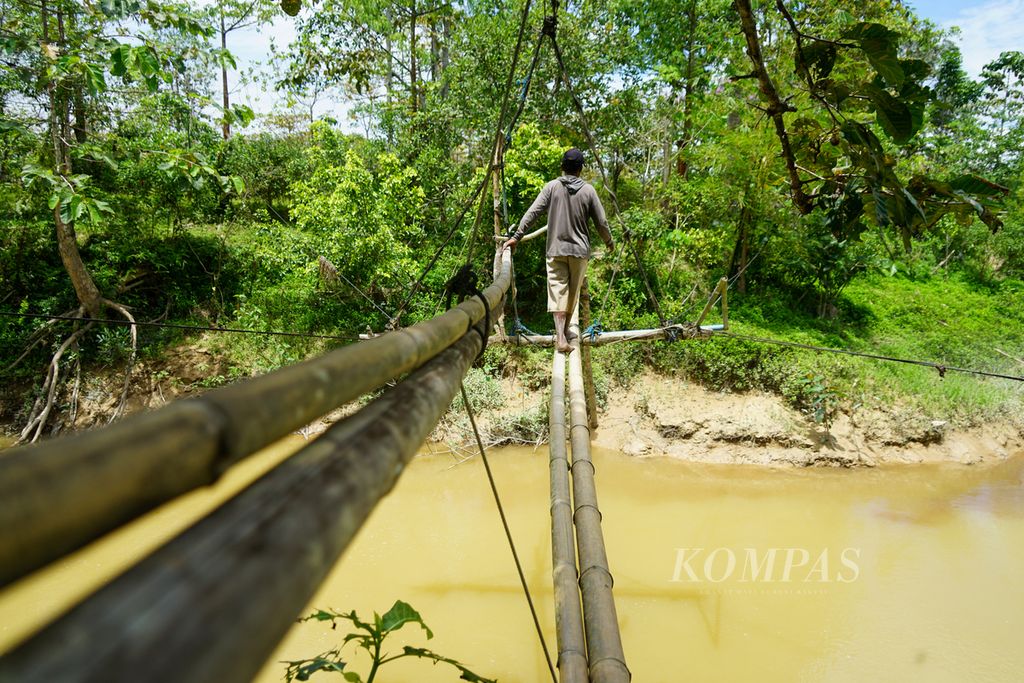 Agus (53) melintasi jembatan bambu menuju sawahnya di Desa Lalowiu, Konda, Konawe Selatan, Sulawesi Tenggara, Rabu (14/9/2022). 