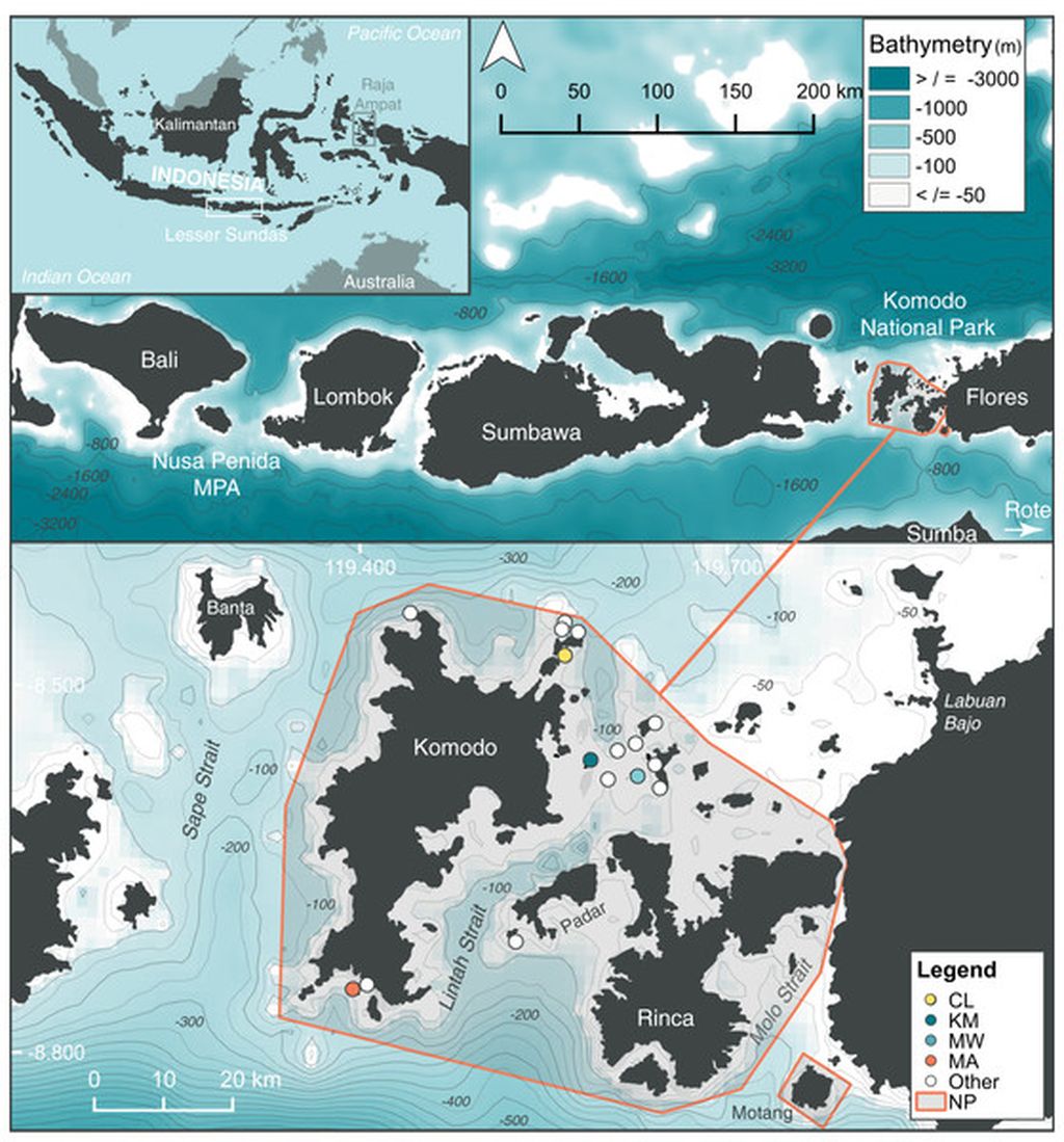 Gambar 1: Lokasi penelitian di wilayah utara (Cauldron–CL), tengah (Karang Makassar–KM, Mawan–MW), dan selatan (Manta Alley–MA) di Taman Nasional Komodo (TN), Nusa Tenggara Timur. Sumber: Elitza S Germanov (Aquatic Biology, 2022).